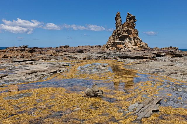 250 Bunurong NP.jpg